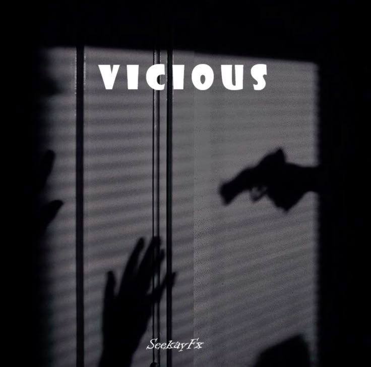 Vicious - SeekayFx